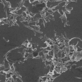 hydrophile oh funktionalisierte mehrwandige Kohlenstoff-Nanoröhrchen (oh-mwcnt)