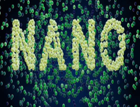 Was sind Nanopartikel?