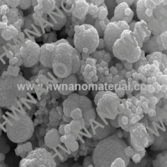 Au gold nanoparticles advantages as a probe