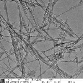 Titanoxid-Nanoröhren mit hohem ssa