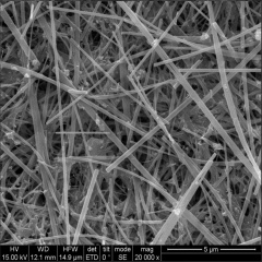 Si nanowire