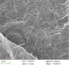 VO2 nanowire
