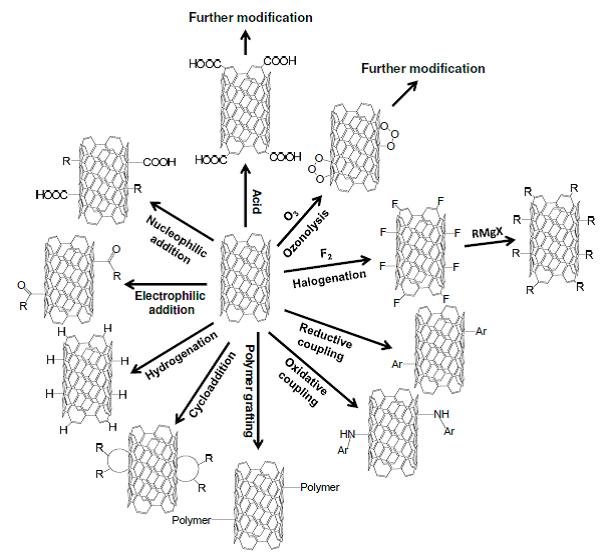 funktionelle Modifikation an Kohlenstoffnanoröhren (Cnts) -Oberflächen