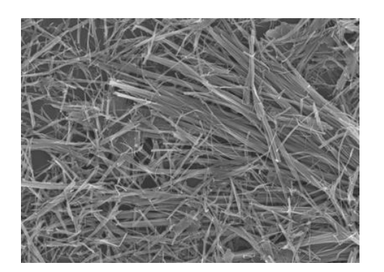 Nano-Vanadiumdioxid-Materialien: Ein umfassender Leitfaden zu monoklinen Partikeln, W-dotiert und Nanodrähten