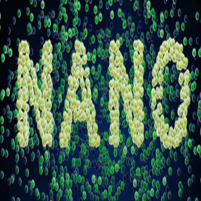 ubiquitäre Nanopartikel und Nanopulver im Leben